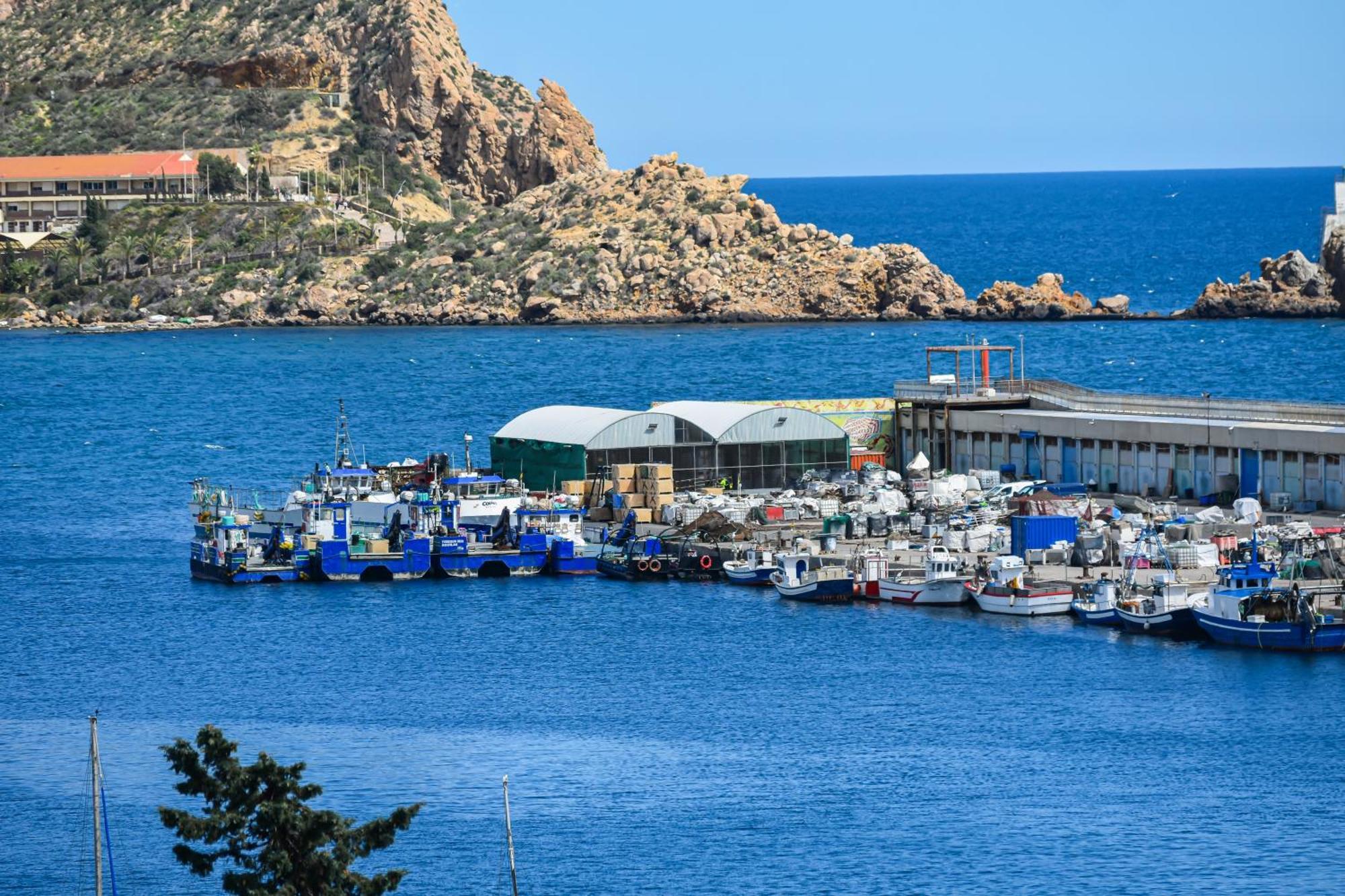Dream View Aguilas - By Aloha Palma Exterior foto